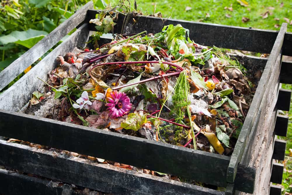 Wood slat compost bin near garden with vegetable and flower scraps