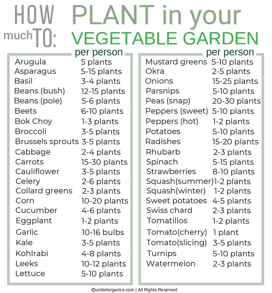 Chart of Vegetables and How Much To Plant Per Person For Your Vegetable Garden