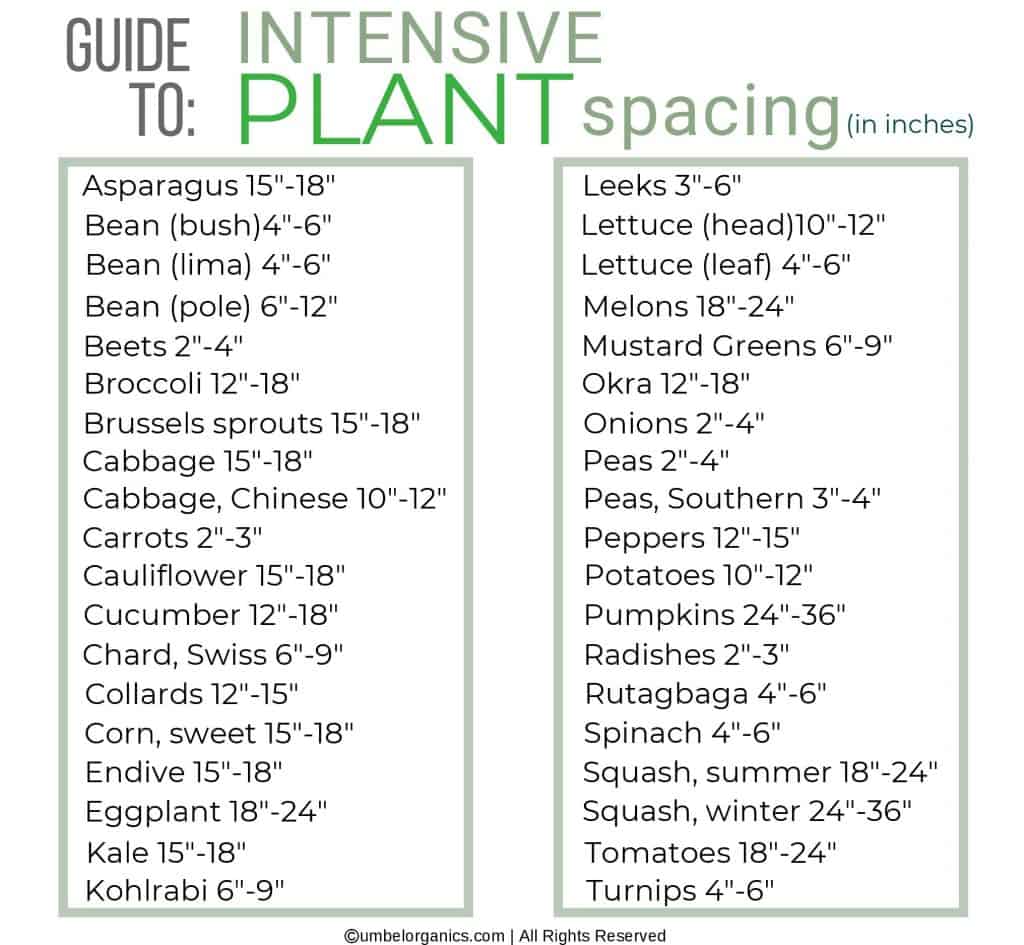 Chart of vegetable plant spacing in small vegetable garden