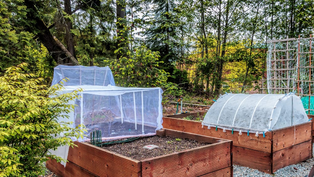 Row Covers Over Vegetable Garden