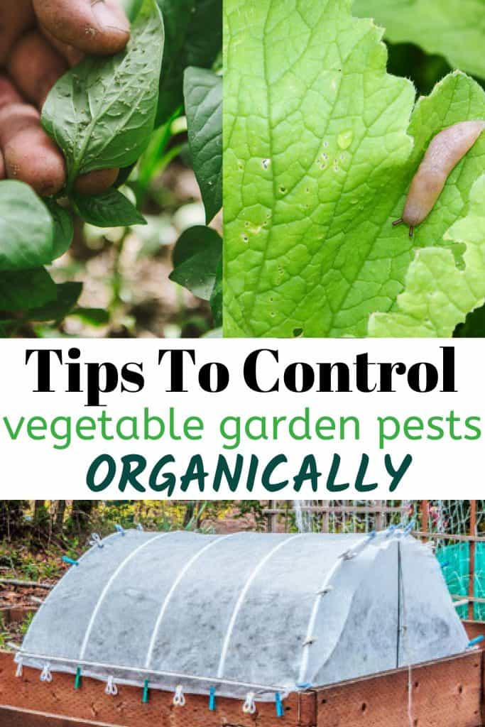 Row Covers For Organic Gardening - Umbel Organics