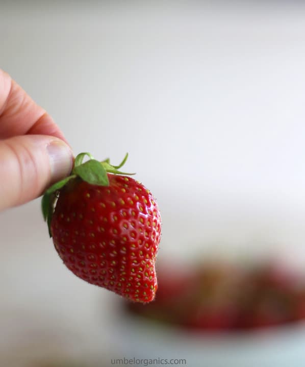 Up close picture of strawberry