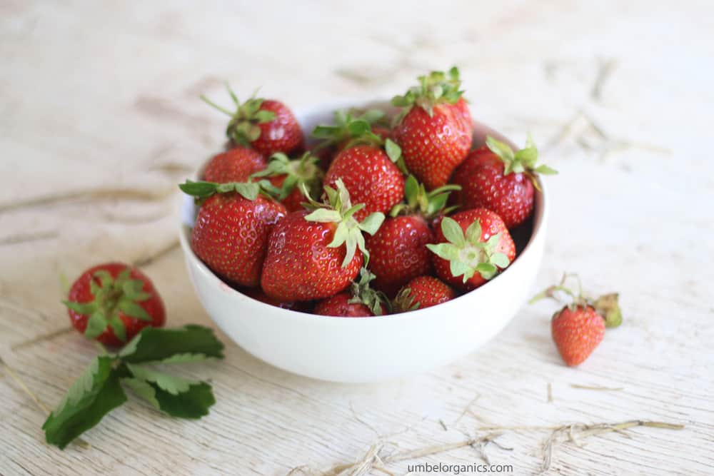 plump, red organic garden strawberries in bowl