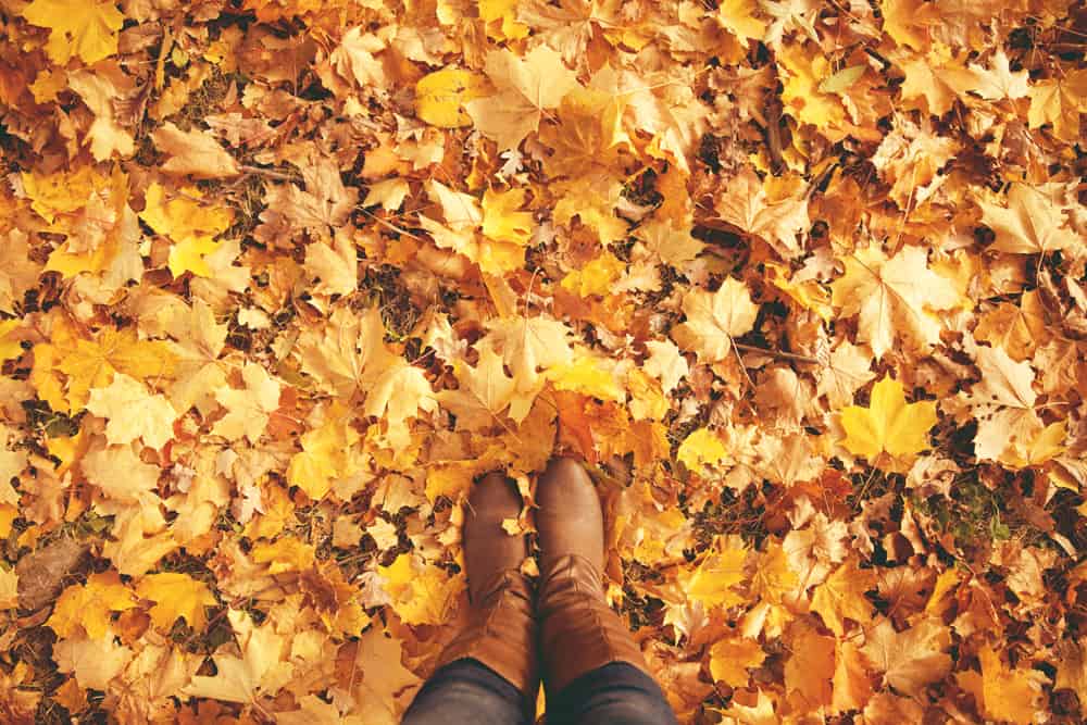 Boots walking through fall leaves