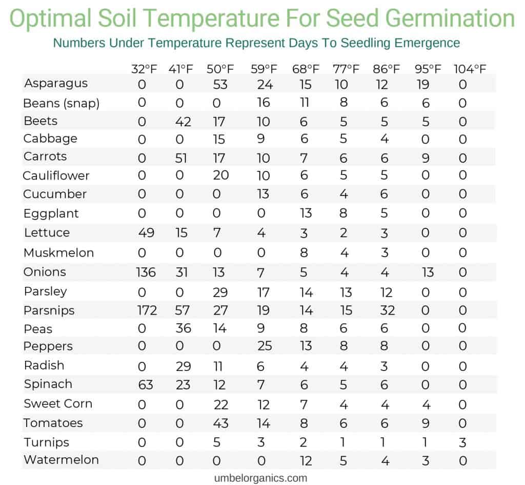 Optimal Soil Temperature For Seed Germination