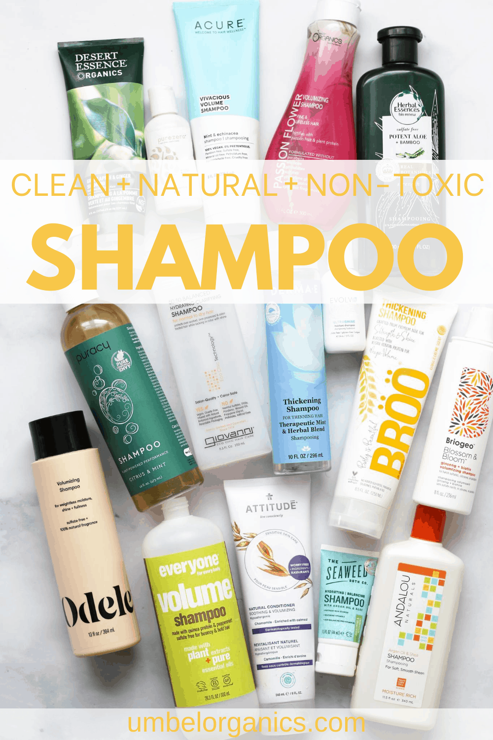 Clean, Natural, NonToxic Shampoo Umbel Organics Umbel Organics