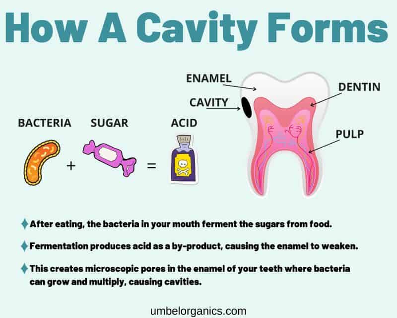 bite toothpaste bits fluoride