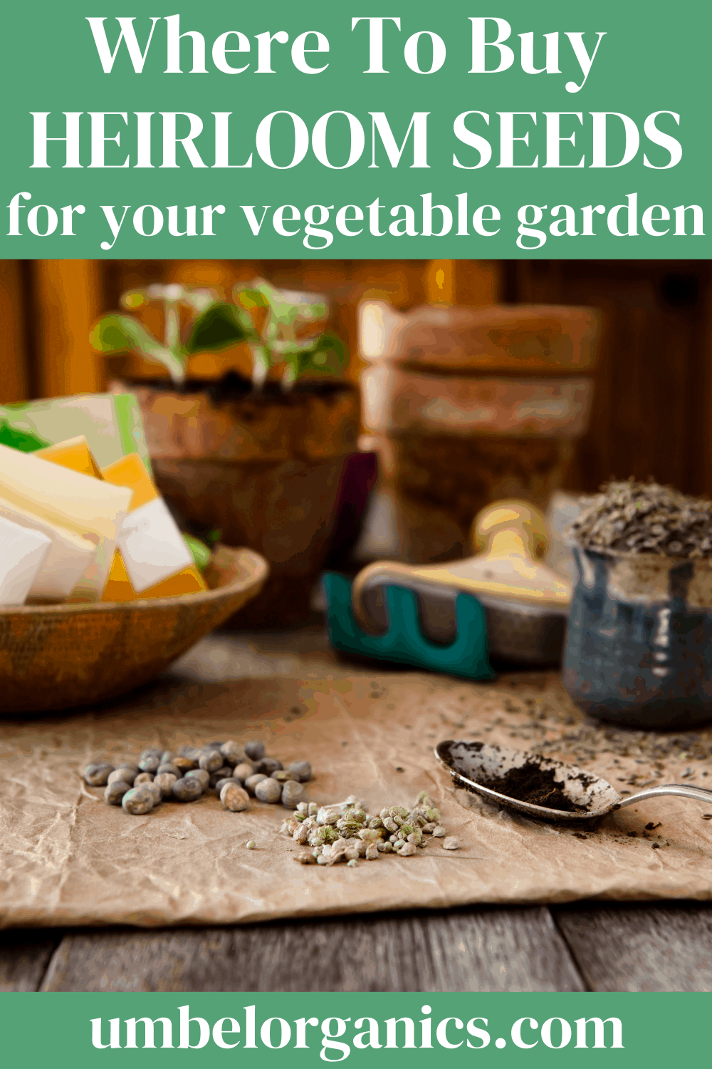 Vegetable seeds on brown paper bag with small green hoe and vegetable seed packets in wooden bowl