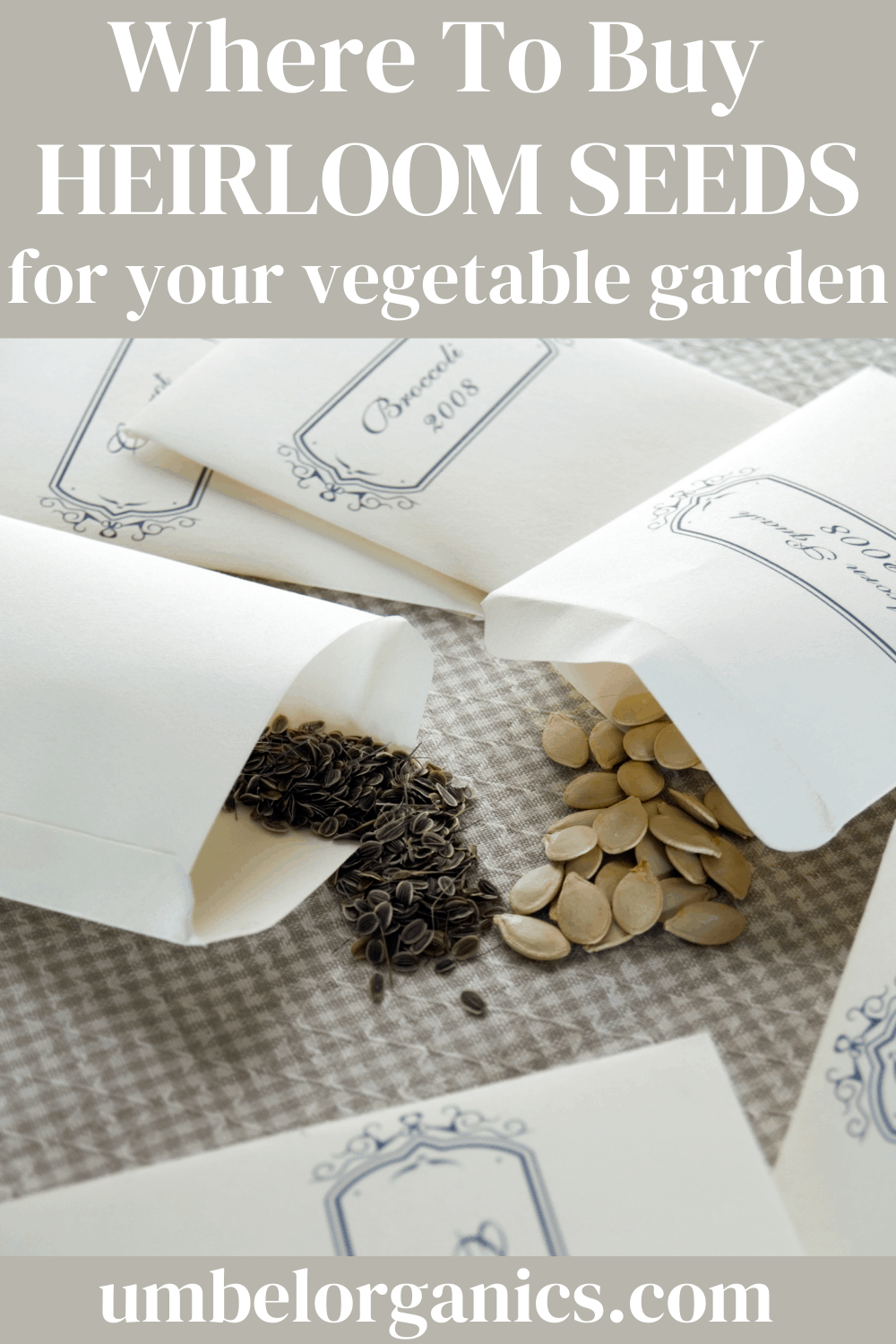 Where To Buy The Best Vegetable Seeds Umbel Organics