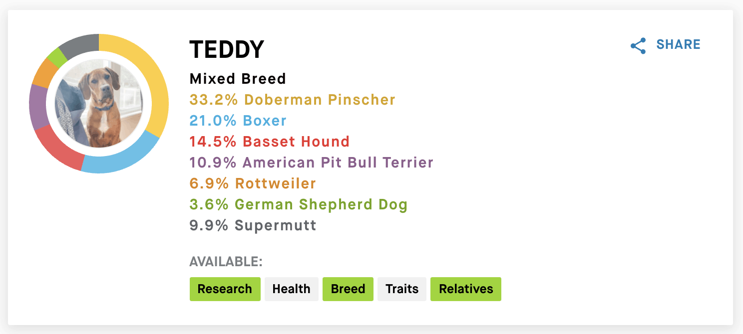 Embark DNA dog breed results