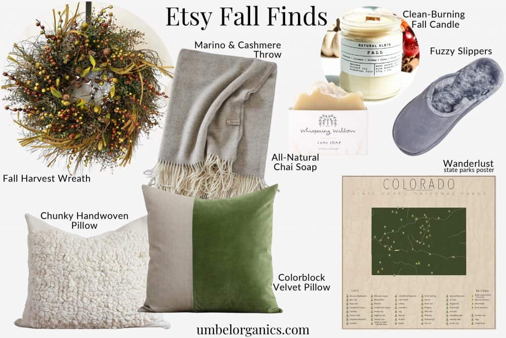 Wreath, pillows, blanket, state parks poster, slippers, dandle and fall soap from Etsy