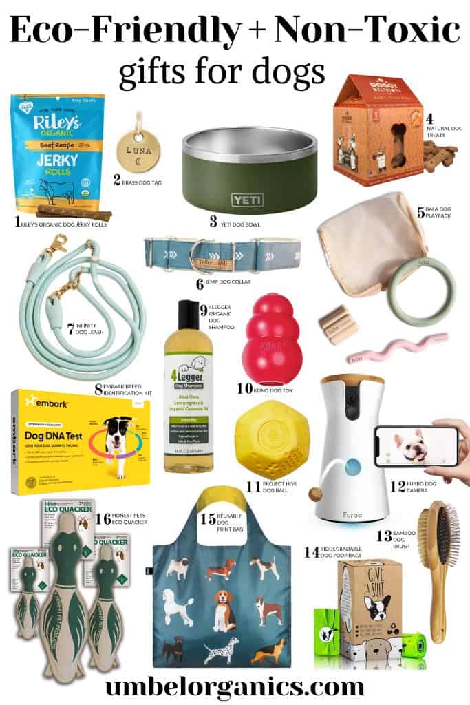Gift ideas for dogs