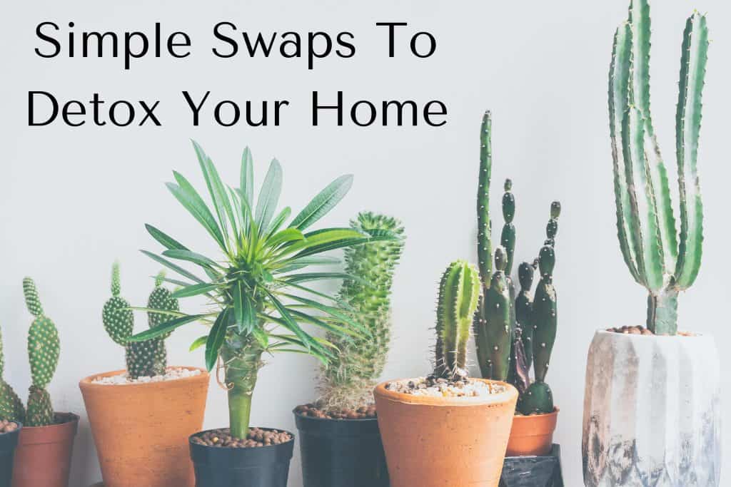 Simple Swaps To Detox Your Home with potted succulents and cactii