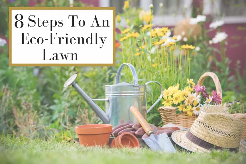 Yard with gardening tools and plants