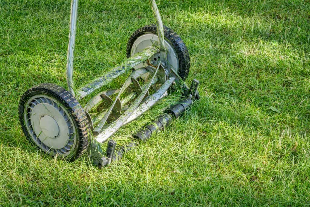 push reel mower