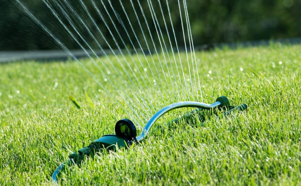 sprinkler watering lawn