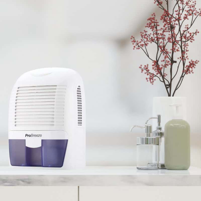 6 Tips To Keep Your Bathroom Mold-Free - Umbel Organics