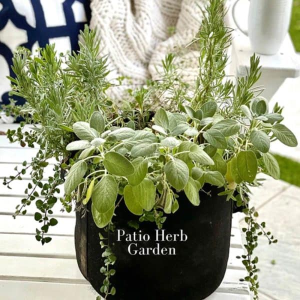 Patio Herb Garden