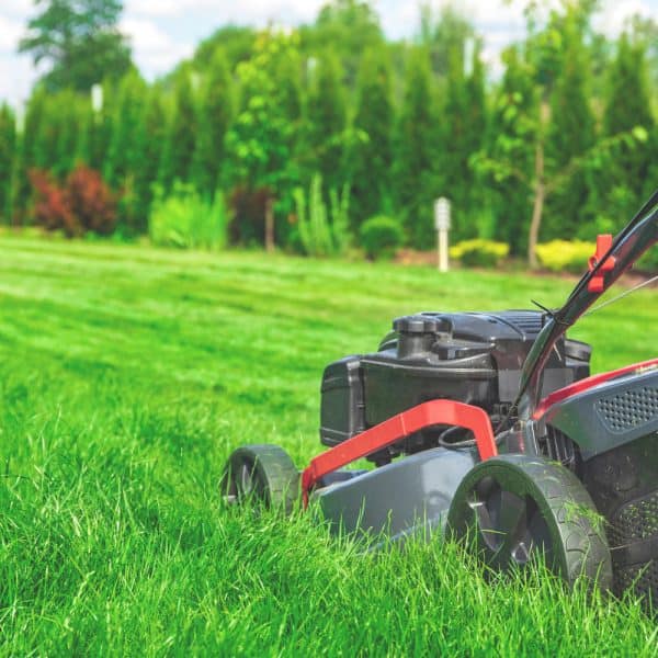 Mowing lawn