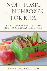 The Non-Toxic Lunchbox - What To Look For And What To Avoid