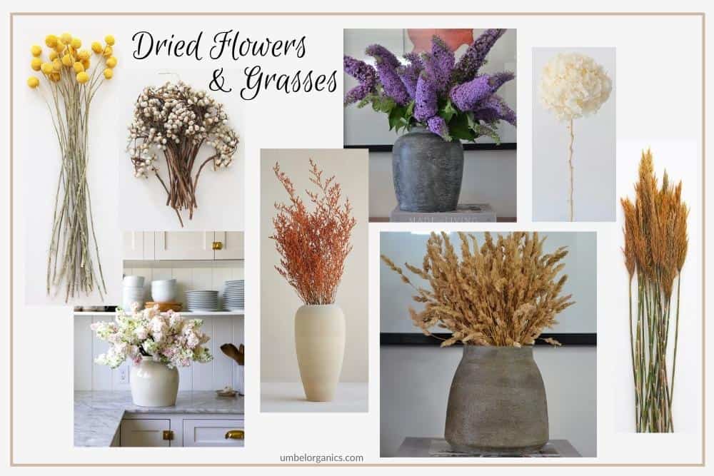 Natural Dried Flowers & Grasses For Fall