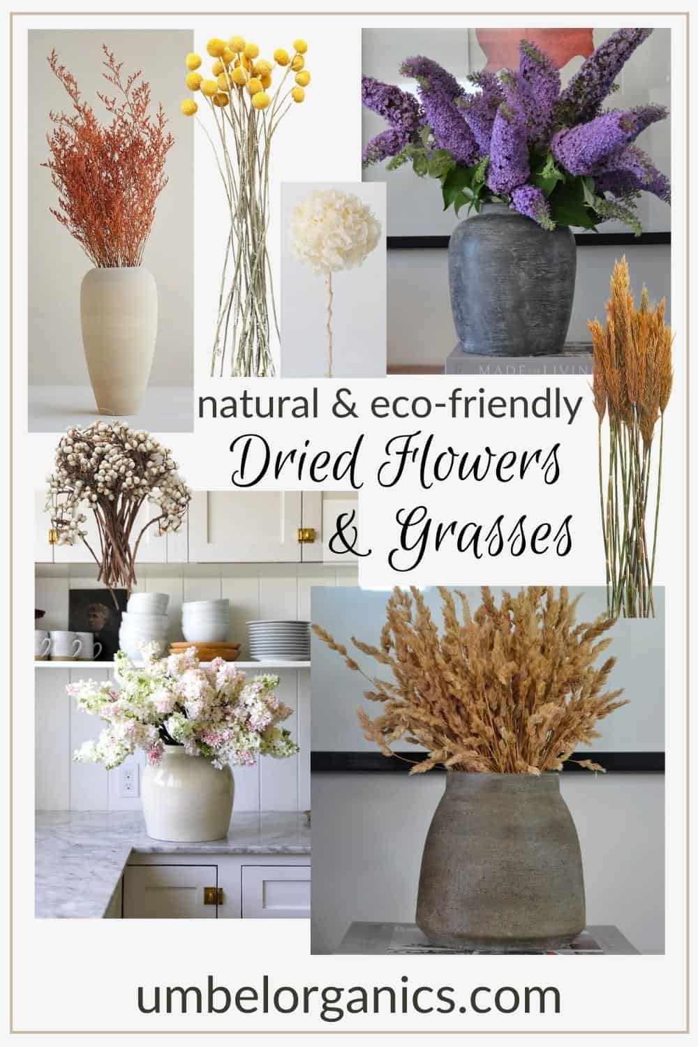 Natural & EcoFriendly Dried Flowers & Grasses Umbel Organics