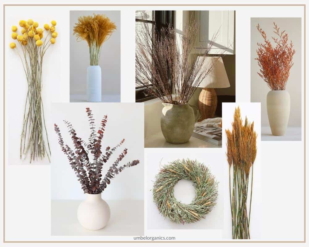 Neutral-Colored Fall Dried Flowers & Grasses