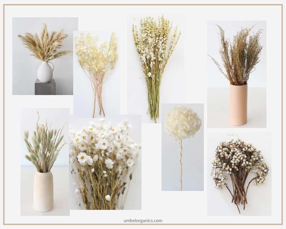 Neutral Cream Dried Grasses & Flowers