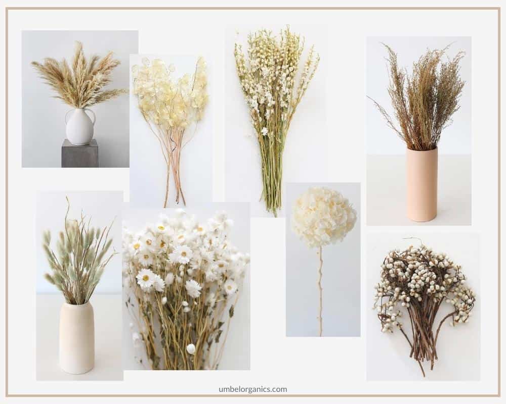 Embrace Sustainability With Dried Flowers, Dried Flowers 