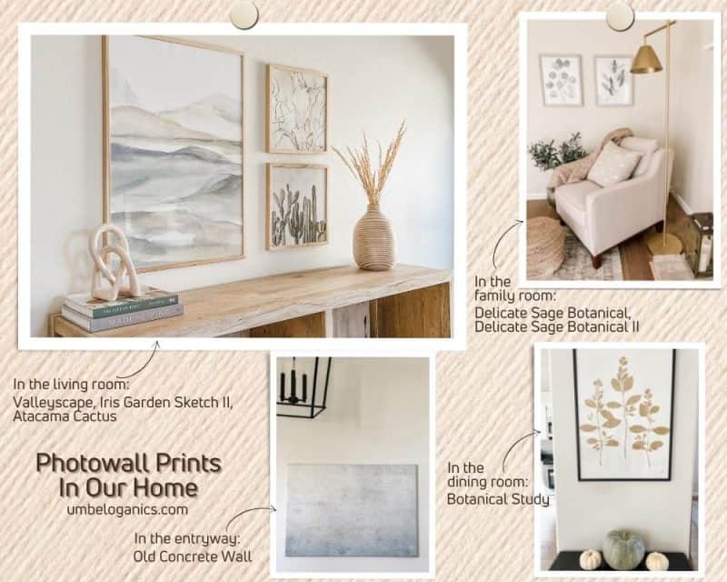 Photowall Print Review Umbel Organics