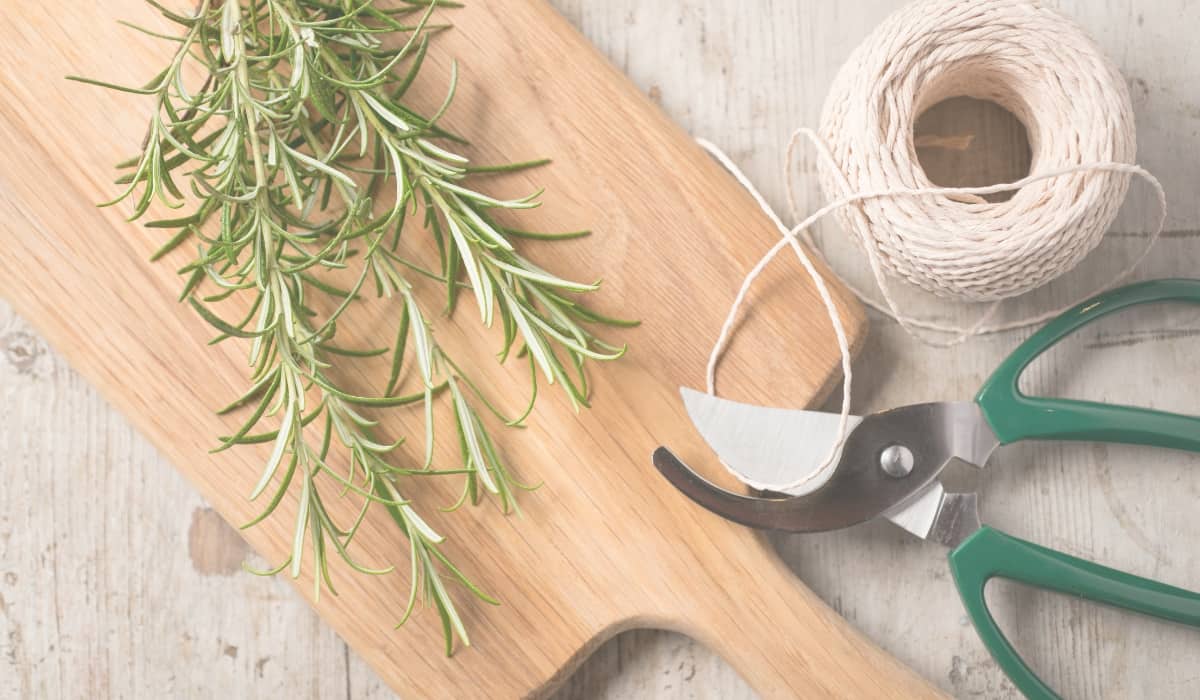 cutting rosemary on cutting board