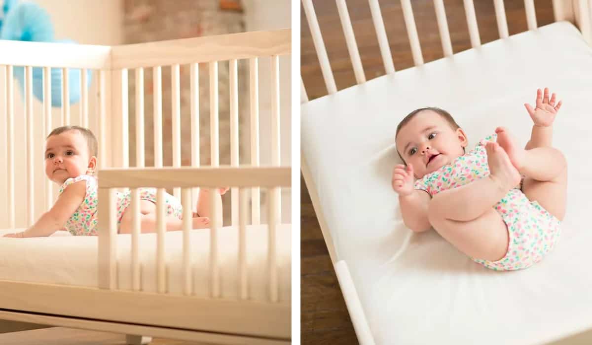 Cost of crib clearance sheets