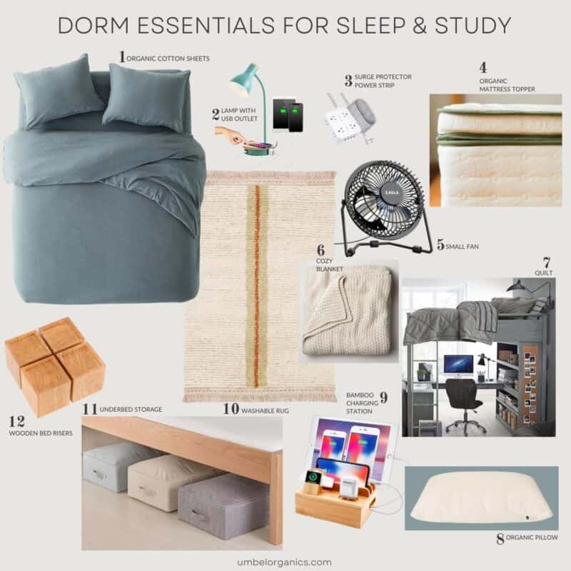 Small appliances and other dorm room essentials you need - Reviewed