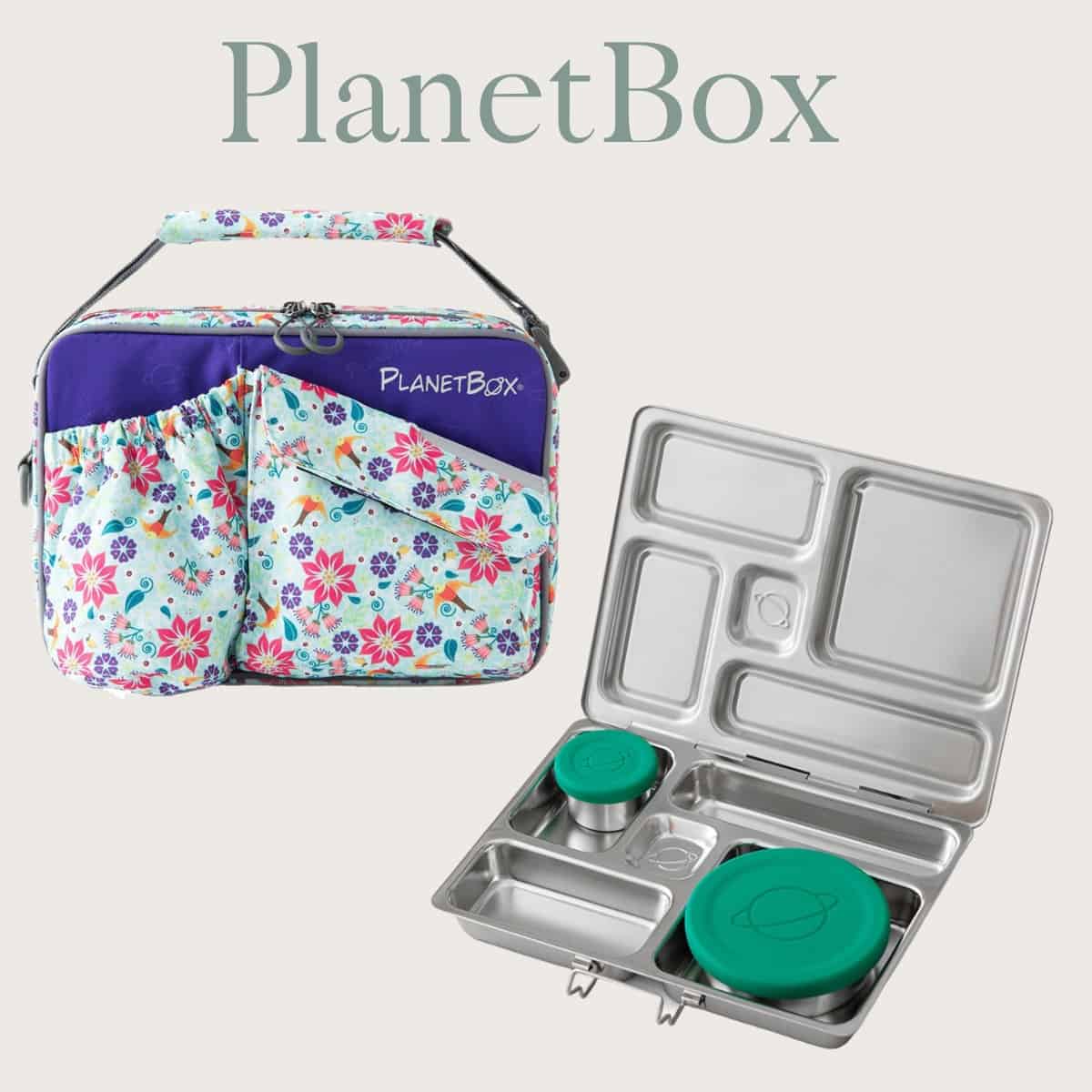 NonToxic Lunchboxes Umbel Organics