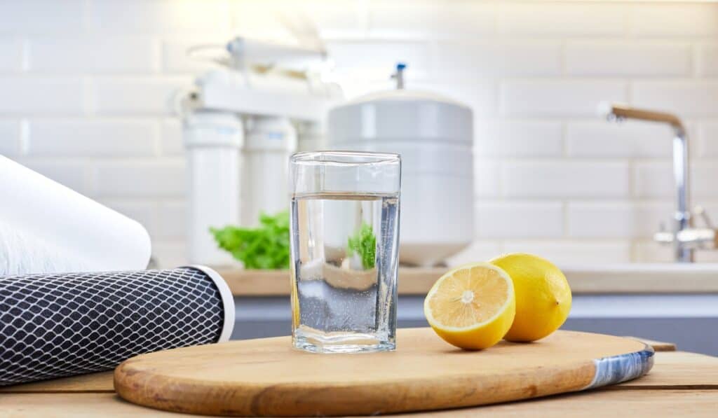 glass of water and cut lemon