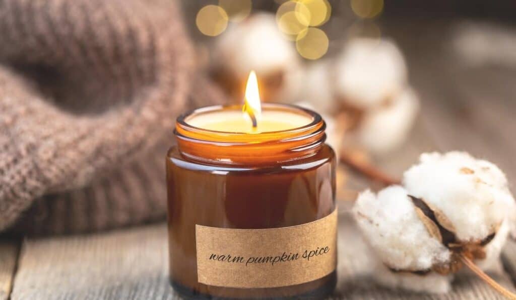 Winter Fir Candle - Clean ingredients, phthalate free fragrance