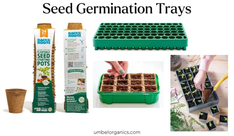 Picture of Non-Toxic Planters & Containers For Organic Gardening - Umbel Organics