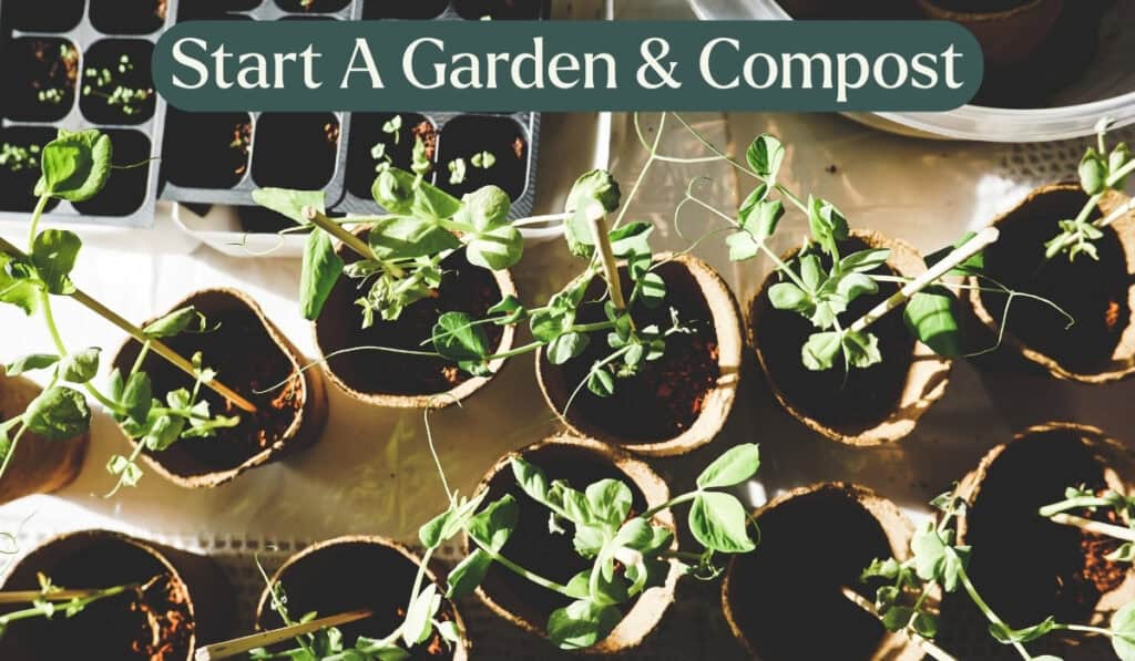 garden starts