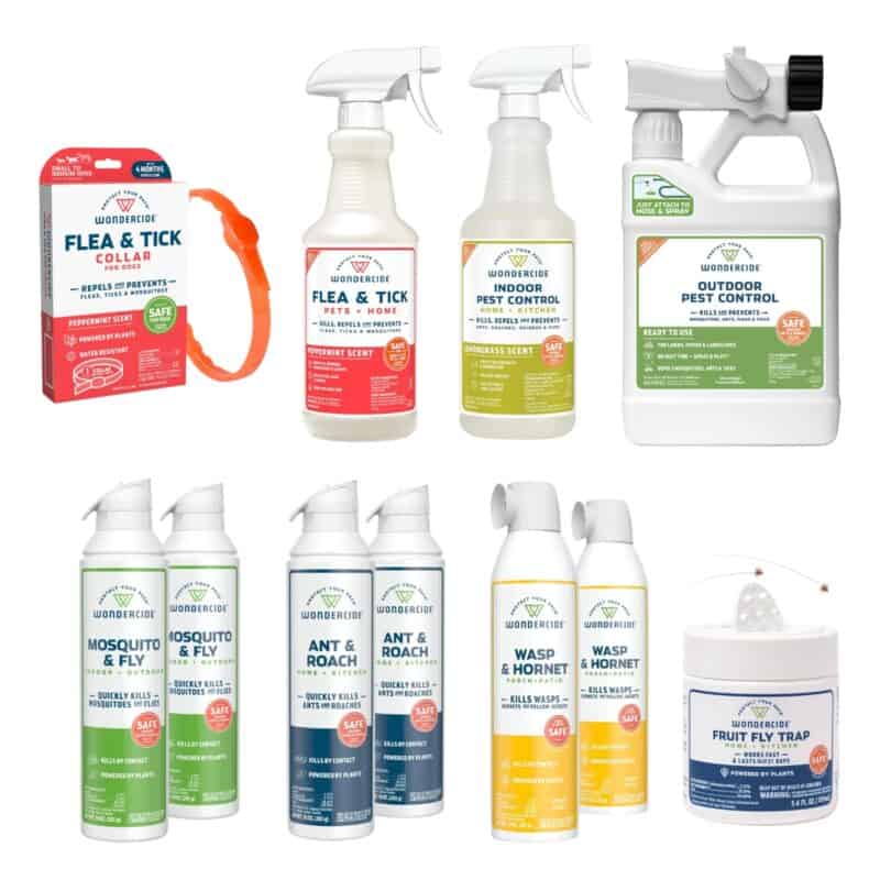 Non-Toxic Pest & Insect Control Products - Umbel Organics