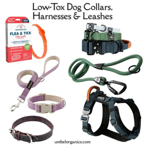dog collars and leashes