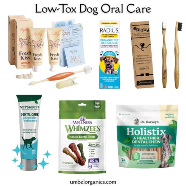 oral care for dogs
