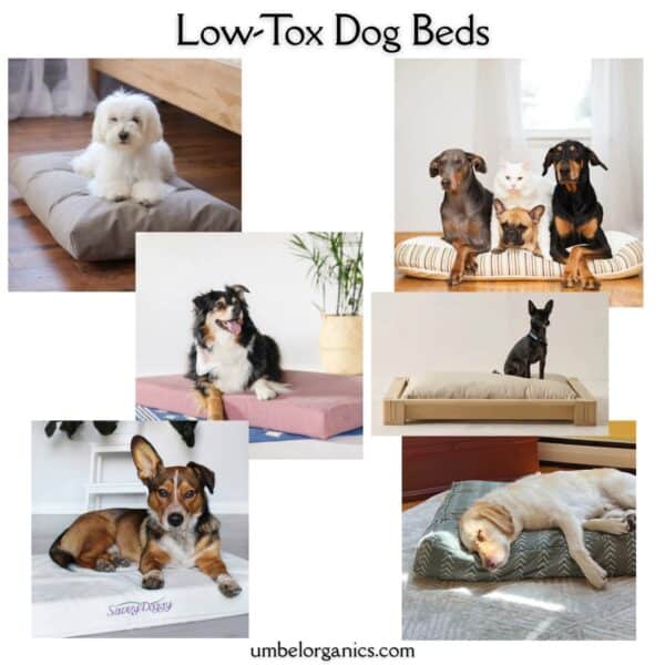 dog beds